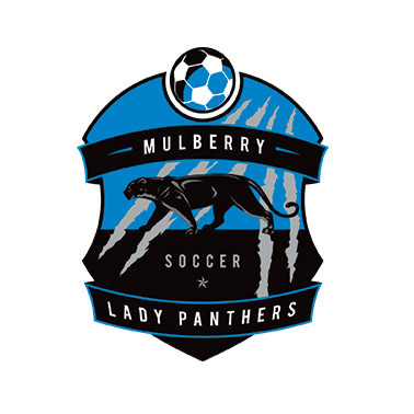 mulberry panthers soccer badge design